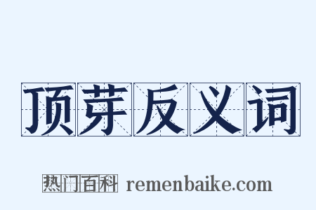 顶芽反义词是什么意思的图片